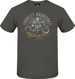 Harley-Davidson T-Shirt Zippy grau