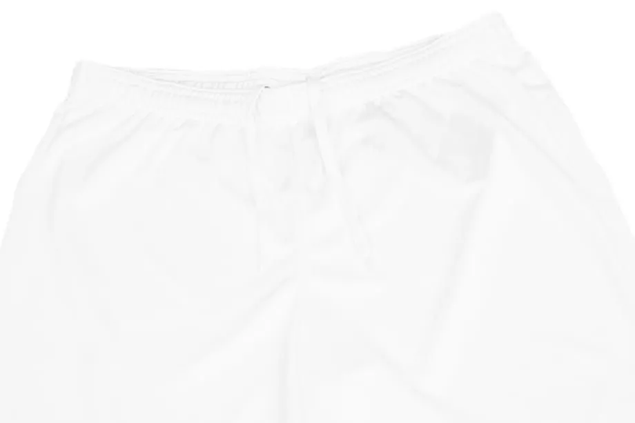 Nike kurze Hose Herren Dri-FIT Academy CW6107 100